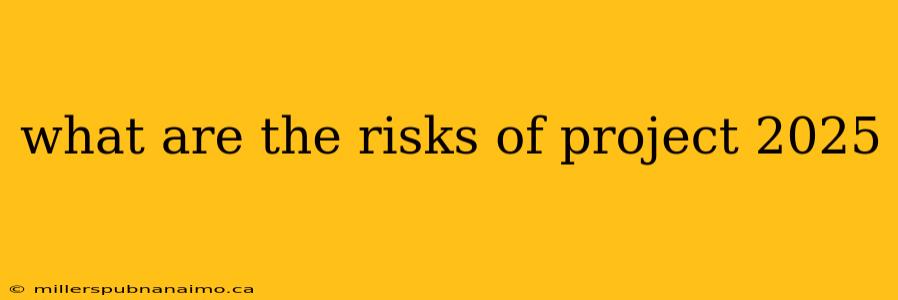 what are the risks of project 2025